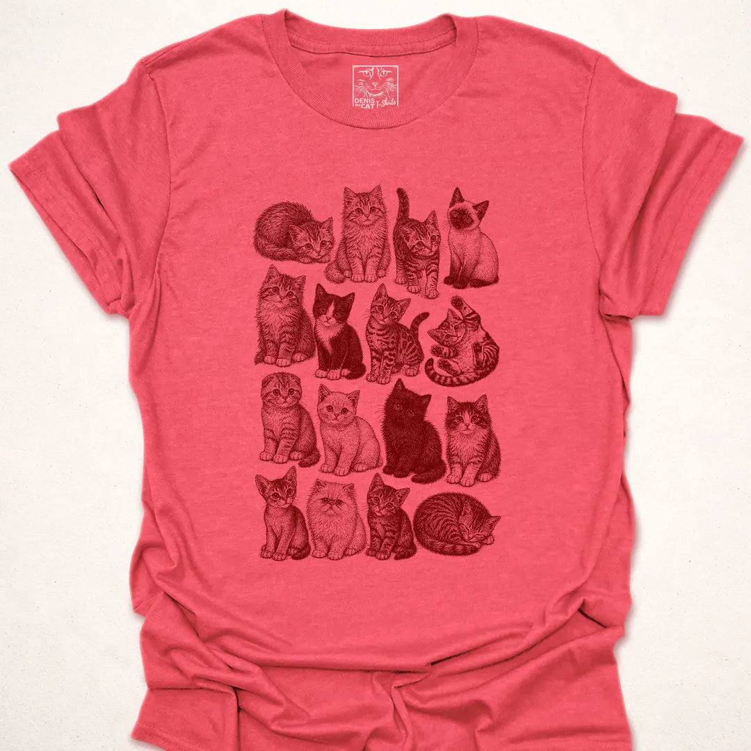 My Type? Cats.