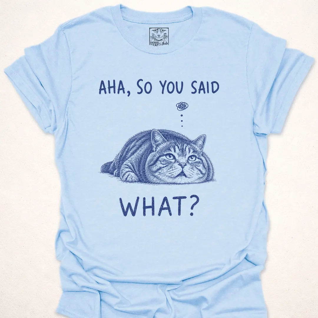Aha, So You Said What?