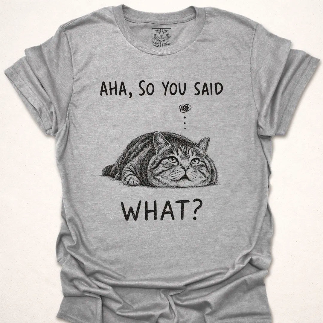 Aha, So You Said What?