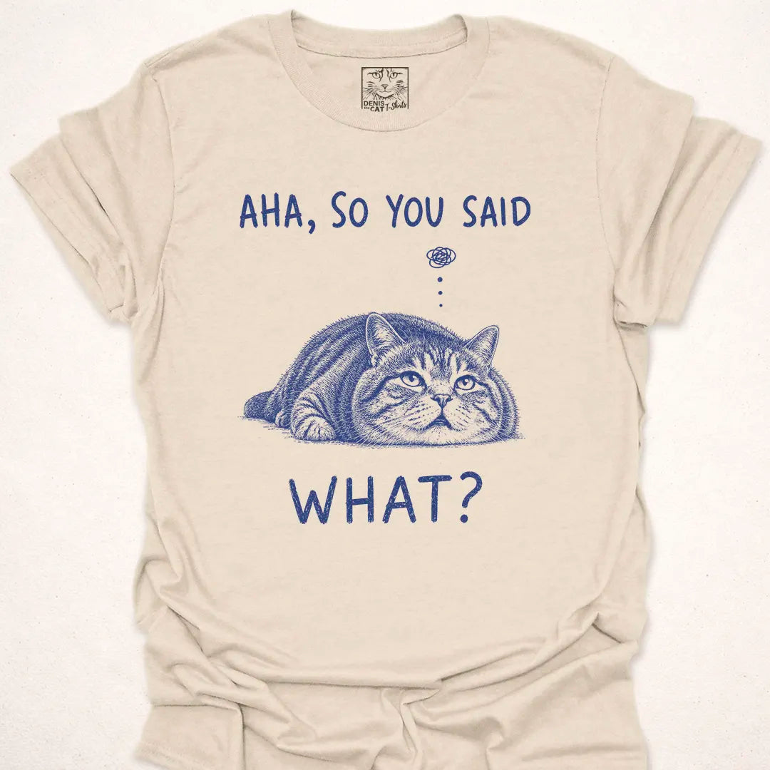 Aha, So You Said What?