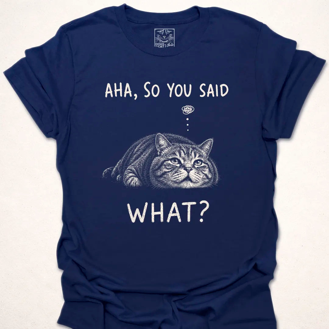 Aha, So You Said What?