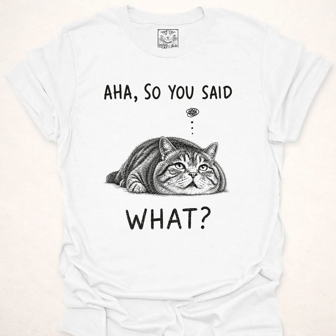 Aha, So You Said What?