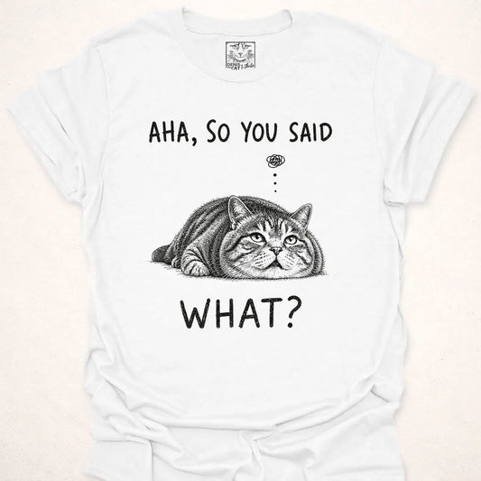 Aha, So You Said What?