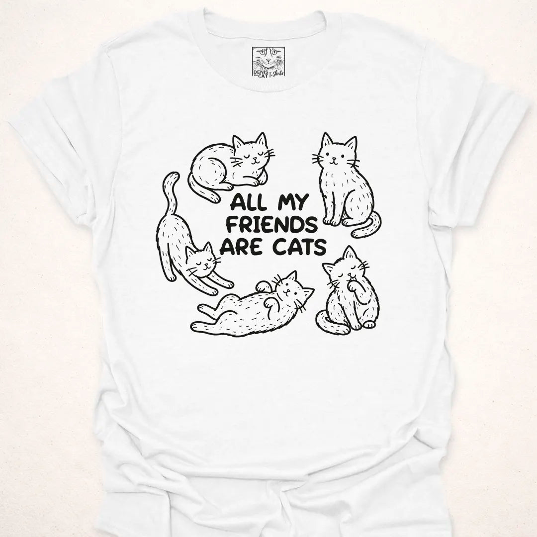 All My Friends Are Cats