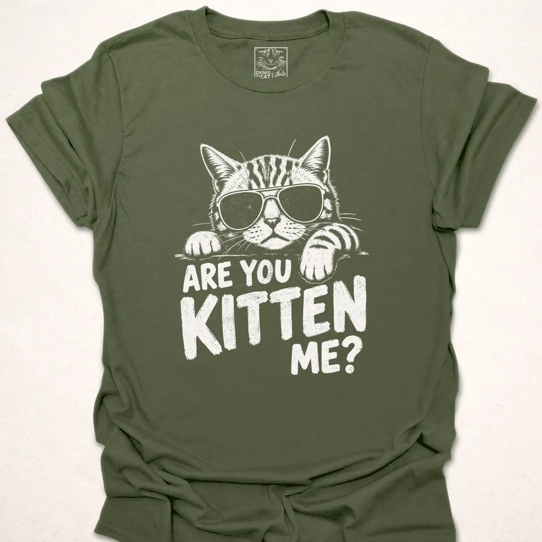 Are You Kitten Me?