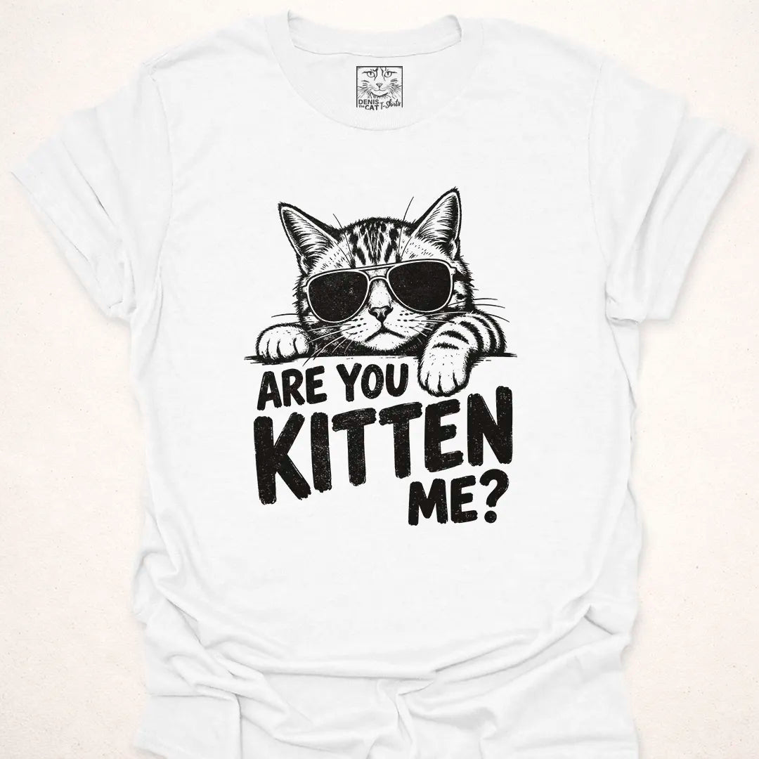 Are You Kitten Me?