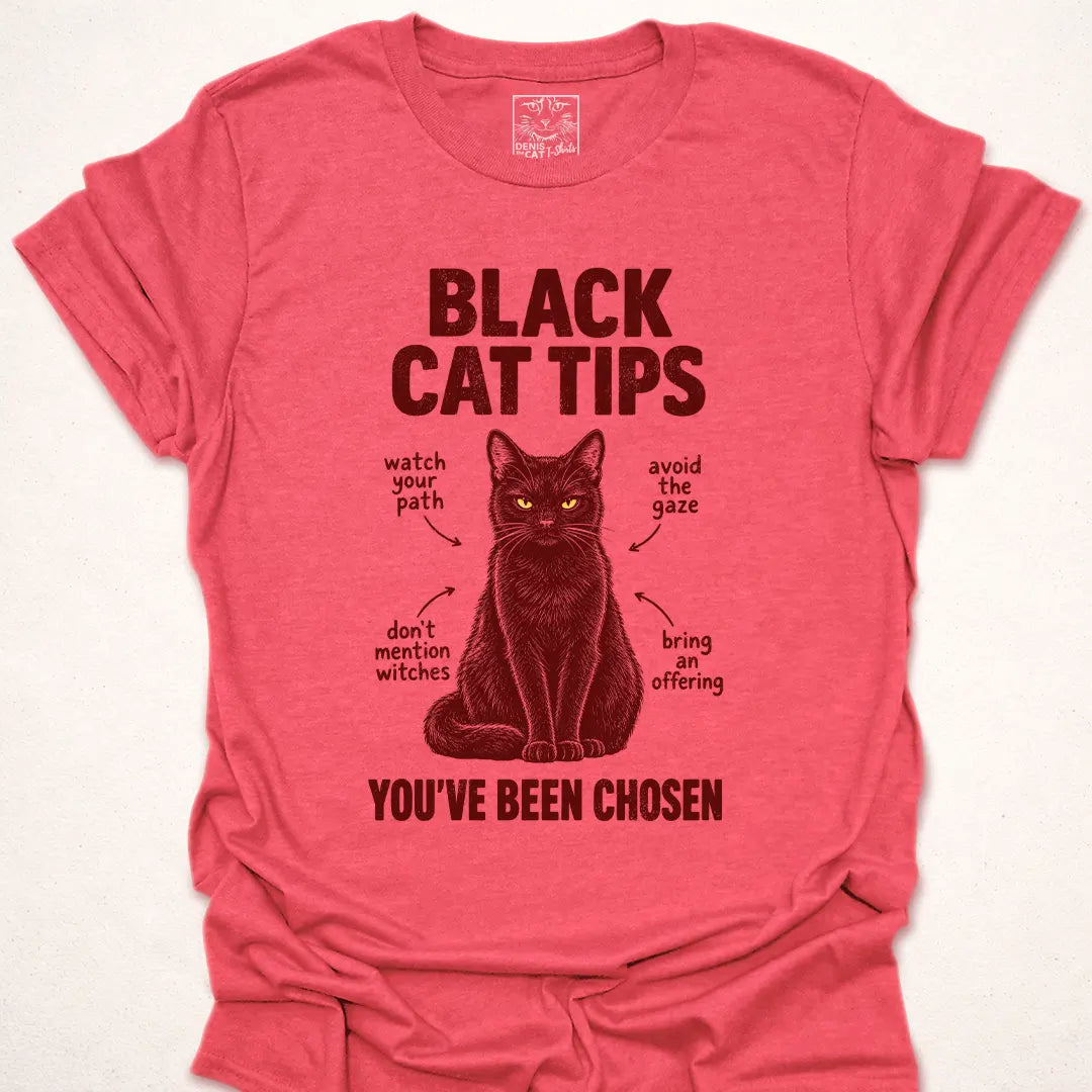 Black Cat Tips
