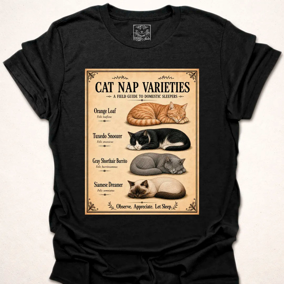 Cat Nap Varieties 2