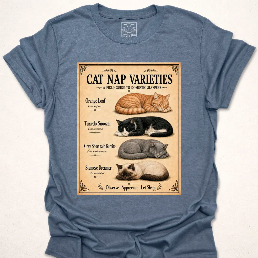 Cat Nap Varieties 2
