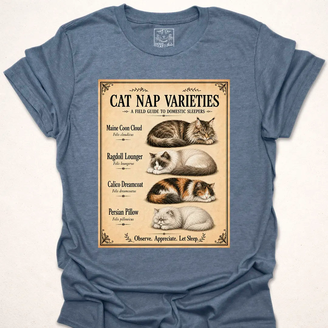 Cat Nap Varieties 1