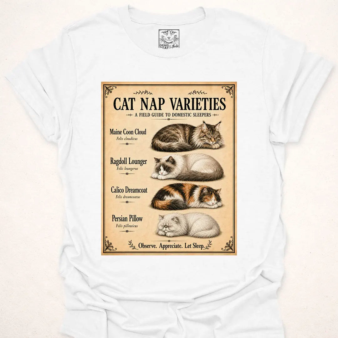 Cat Nap Varieties 1