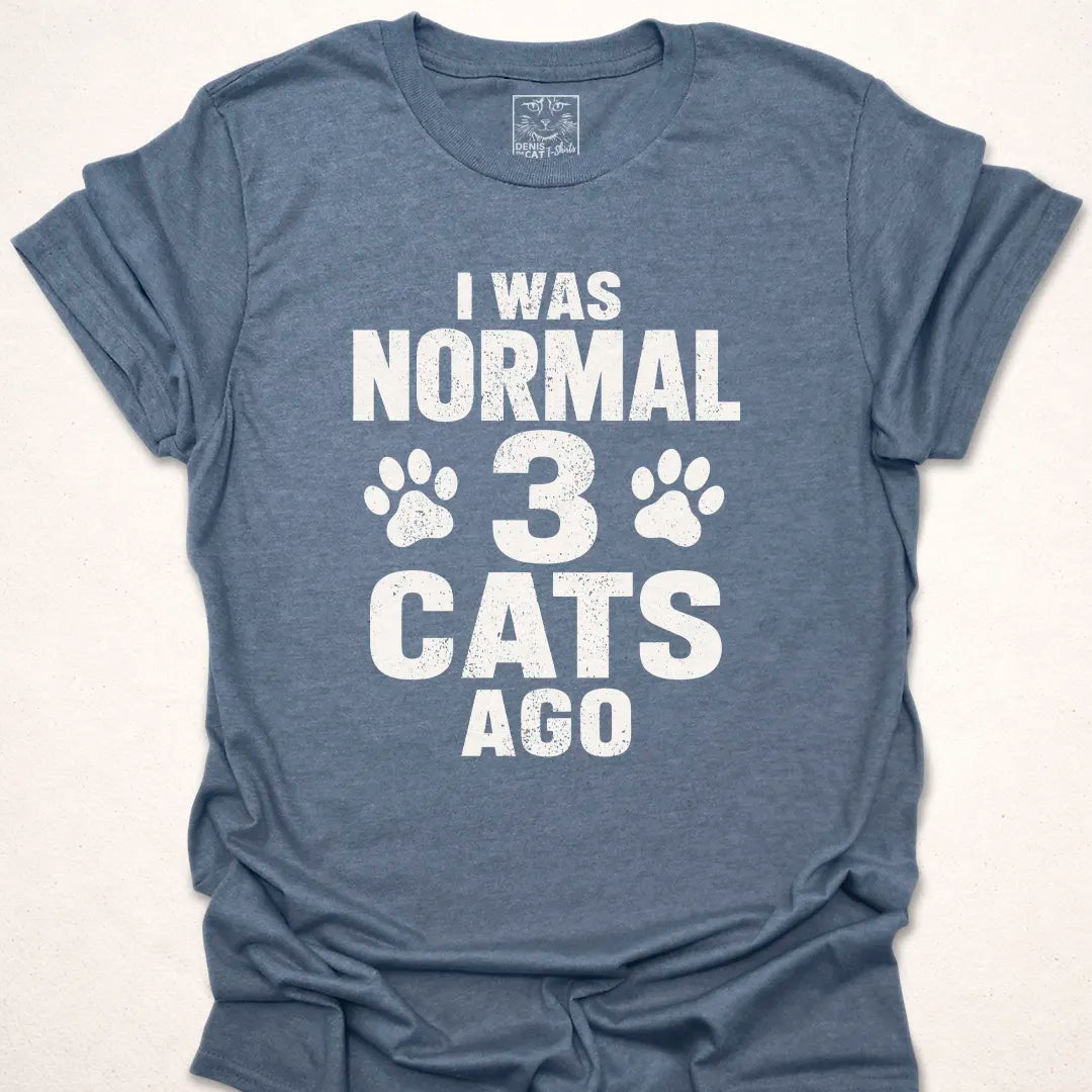 I Was Normal 3 Cats Ago