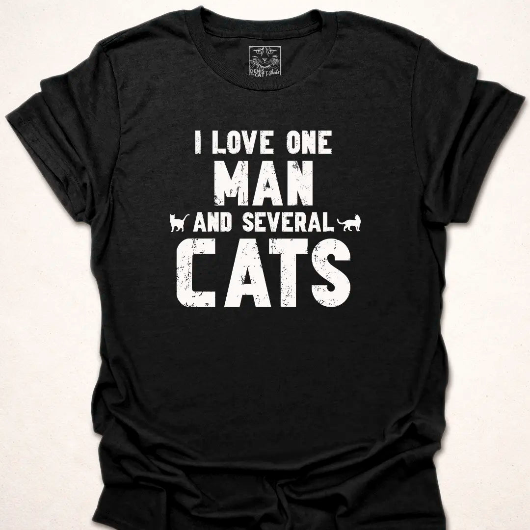 One Man Several Cats