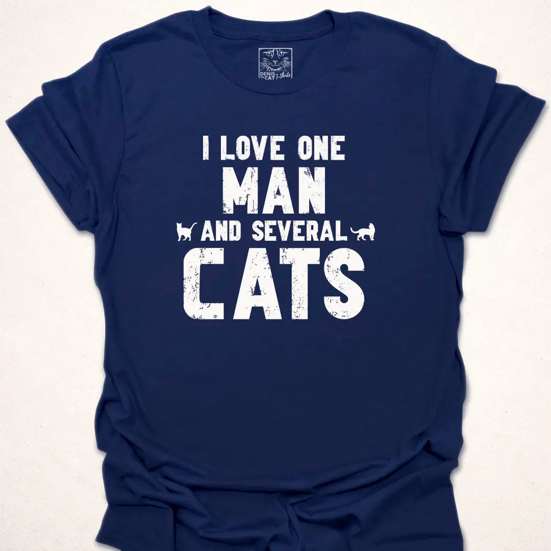 One Man Several Cats