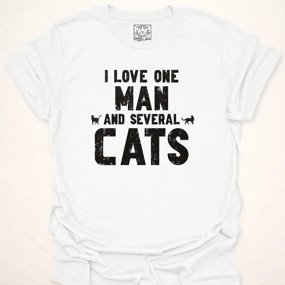 One Man Several Cats